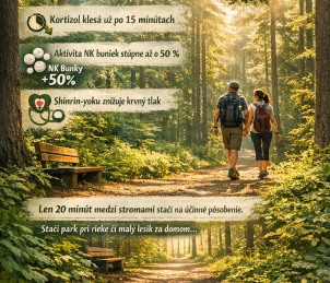 Precházka v lese pôsobí blahodárne na naše zdravie
